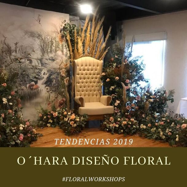 O´Hara Diseño Floral Querétaro