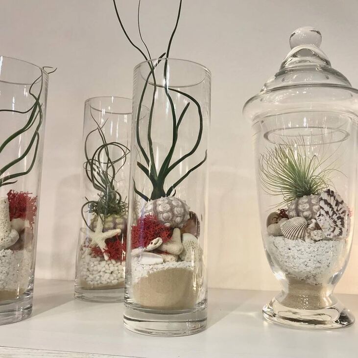 Terrarium Glass Garden