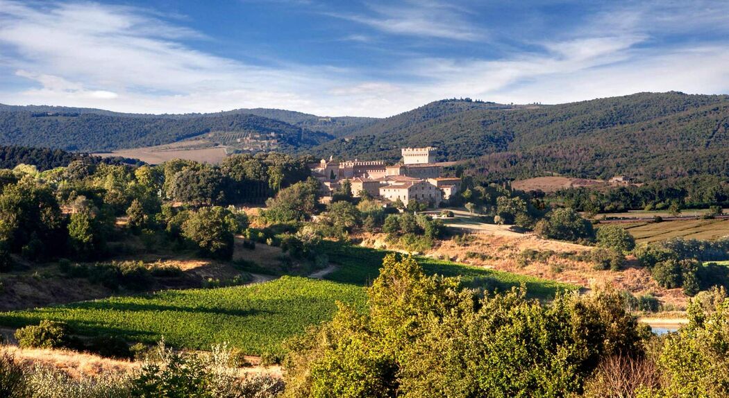 Tenuta di San Gimignanello