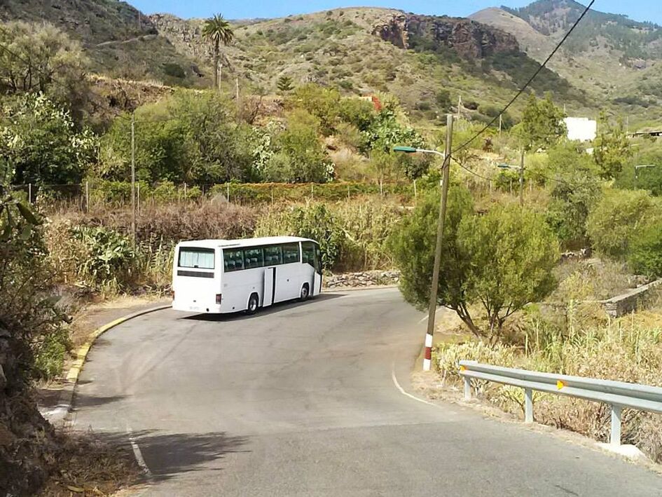 Martín Suárez Bus