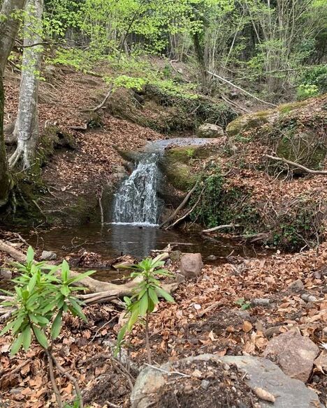 La Fada de Vallforners