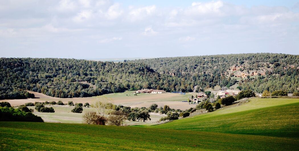 Del Verde al Amarillo