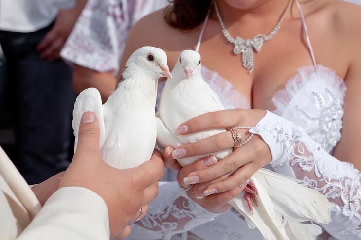Nice colombes