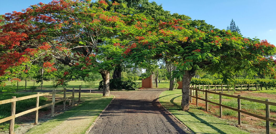 Haras Boituva Espaço de Eventos