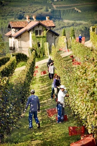 Tenuta Carretta