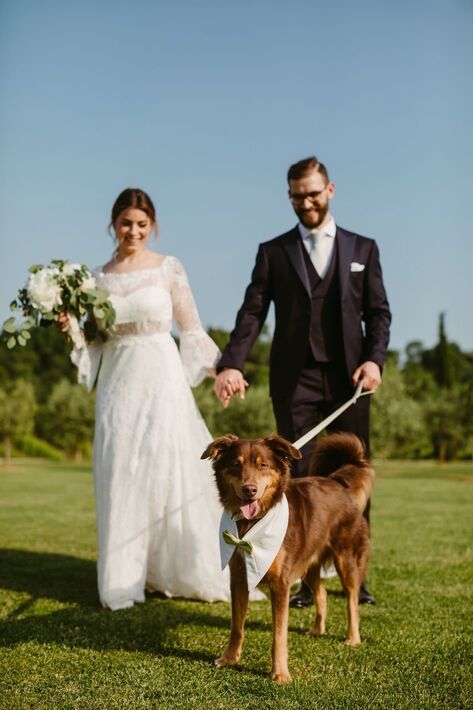 Le Tue Dog Sitter Per Matrimoni