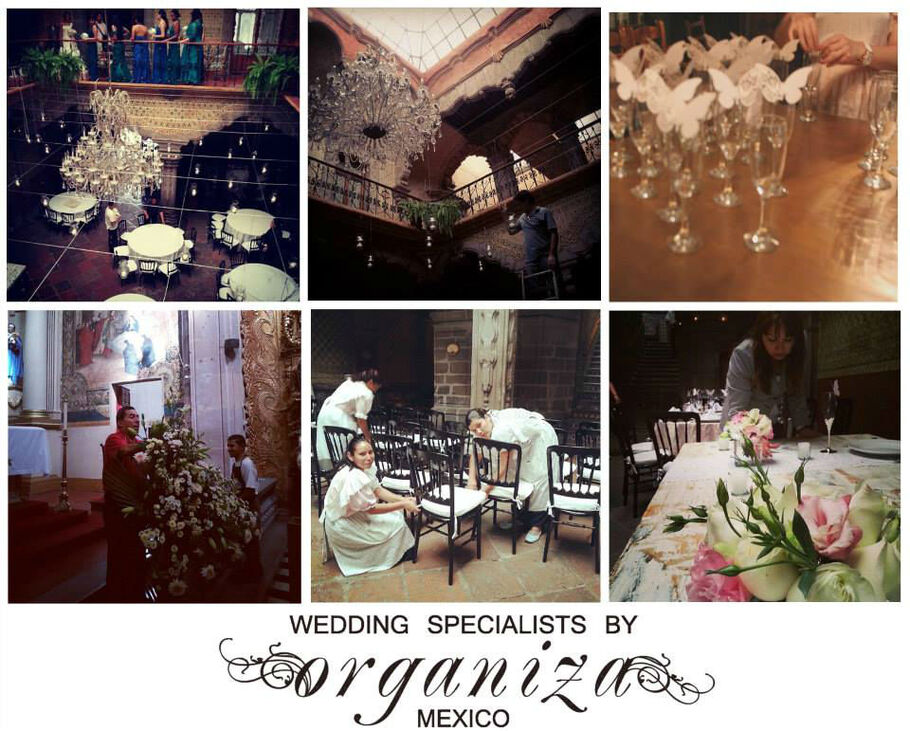 Wedding Specialists by Organiza