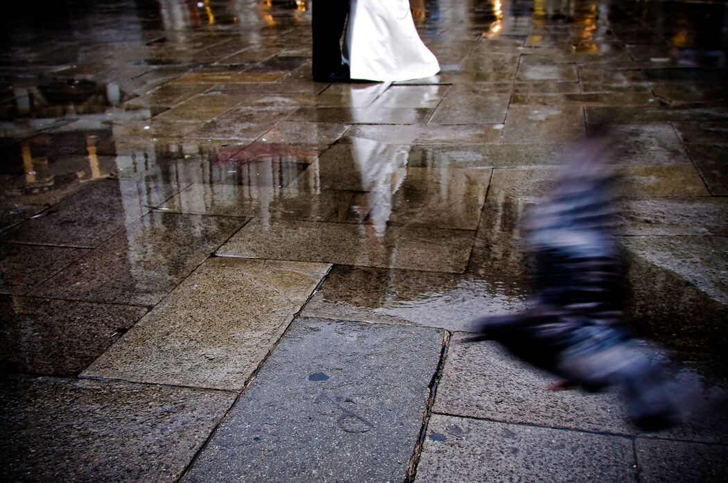 Mauro Pozzer Fotografo