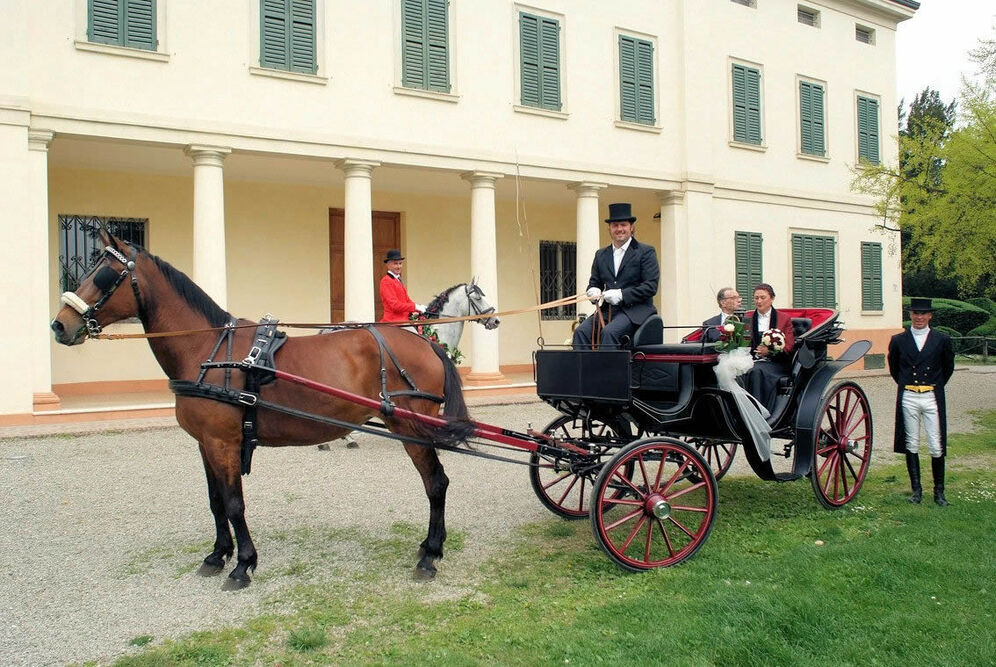 Cristian Sposi in Carrozza