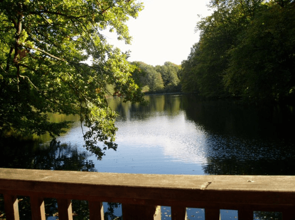 Restaurant Alte Mühle