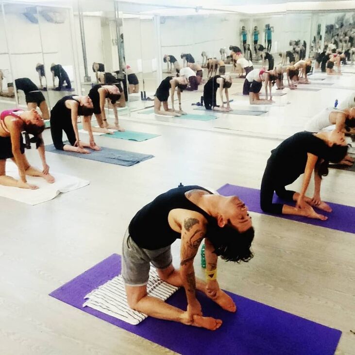 Evolation Yoga Colombia