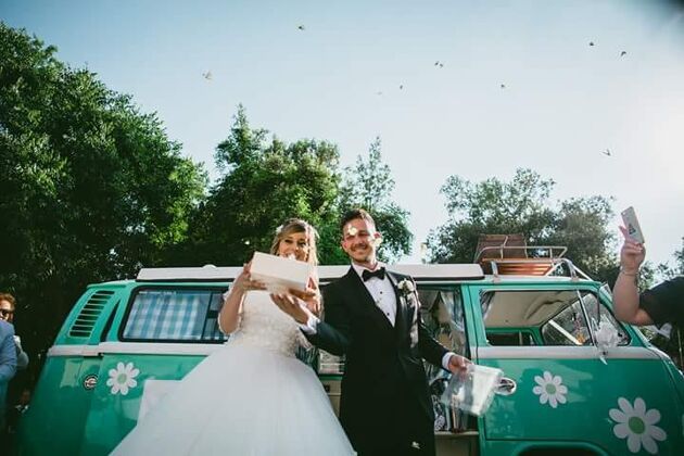 Mariposas para bodas