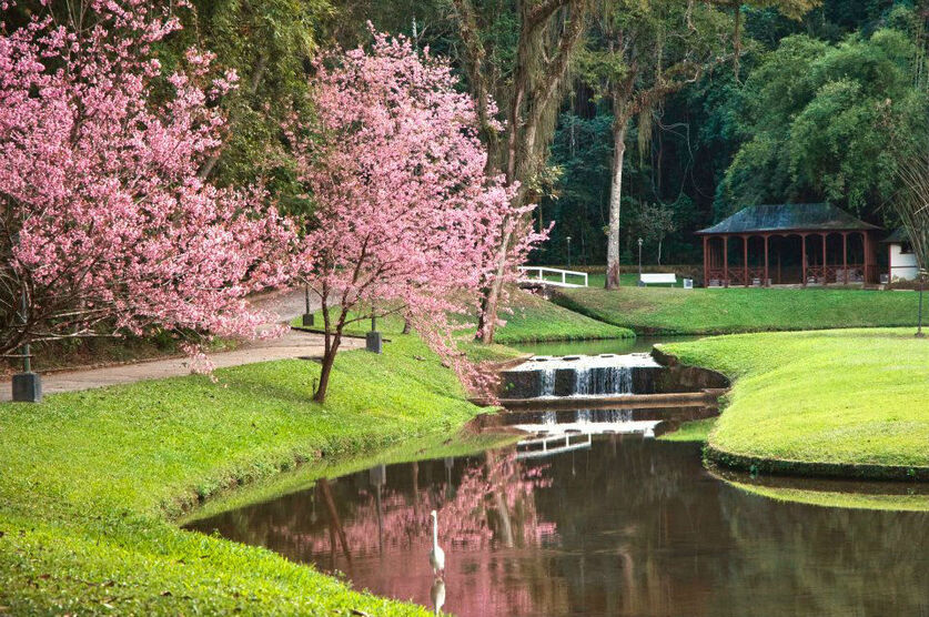 Nova Friburgo Country Clube