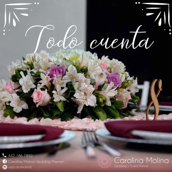 Carolina Molina Wedding Planner