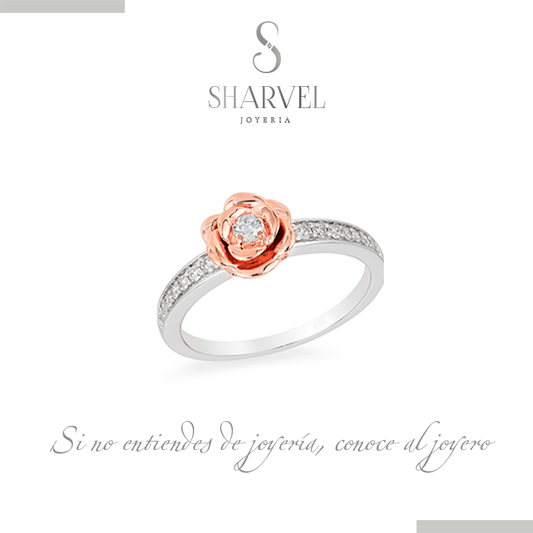 Sharvel Joyeria