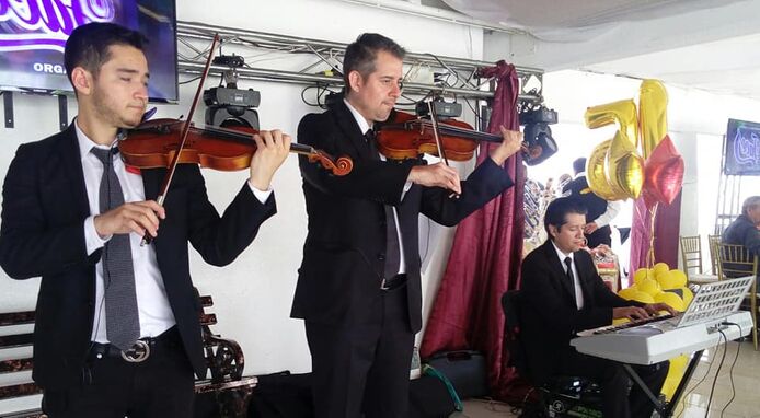 Violines Elias