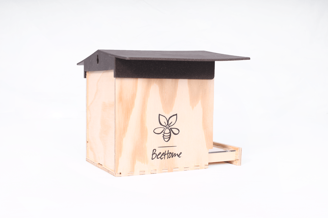 BeeHome by Pollinature