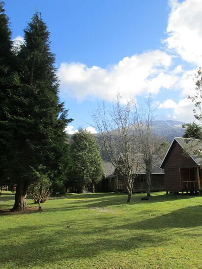 Bosque Patagónico