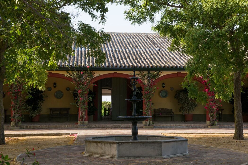 Finca Cerro Obregón