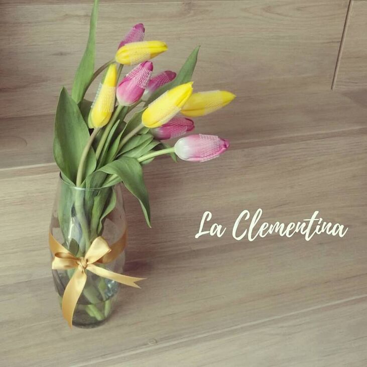 La Clementina - Flores y Detalles