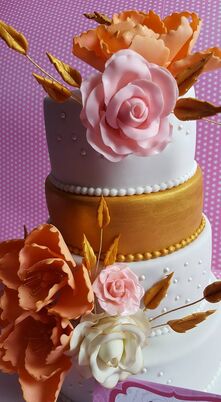 Cakes Design by Karol Palacios