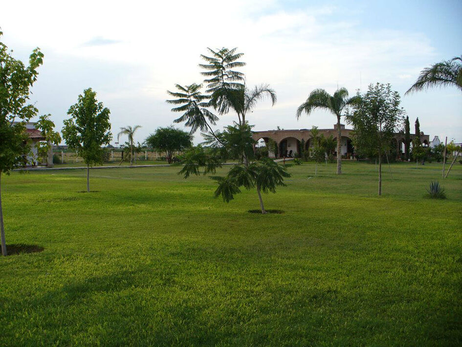 Hacienda Los Ángeles - Torreón