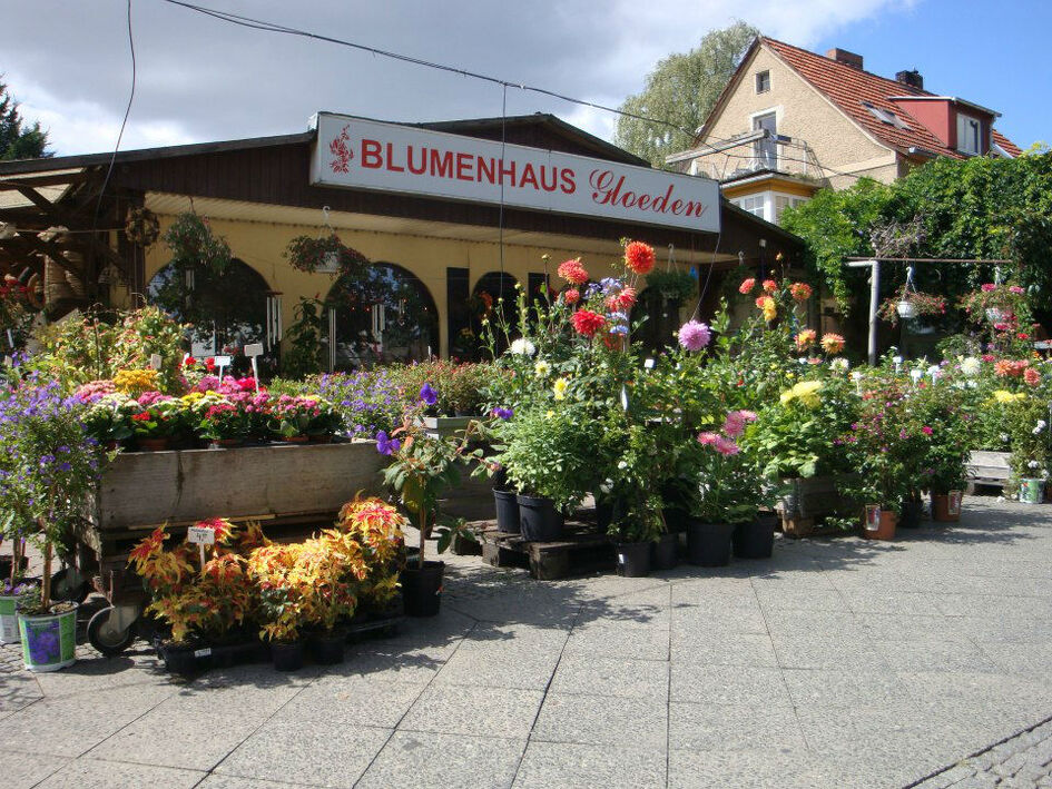 Blumenhaus Gloeden