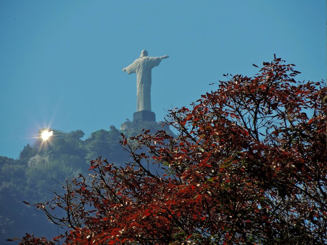 Jardim Botânico