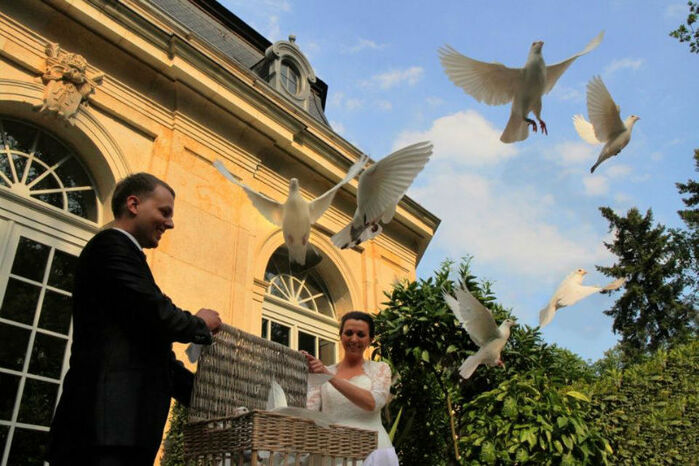 Ihre Hochzeitstauben