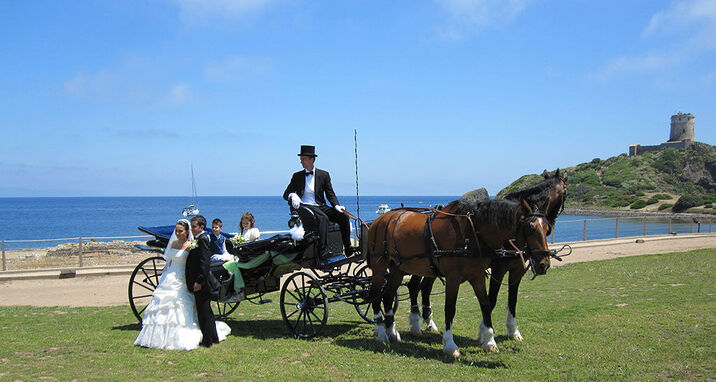 Carrozza Service