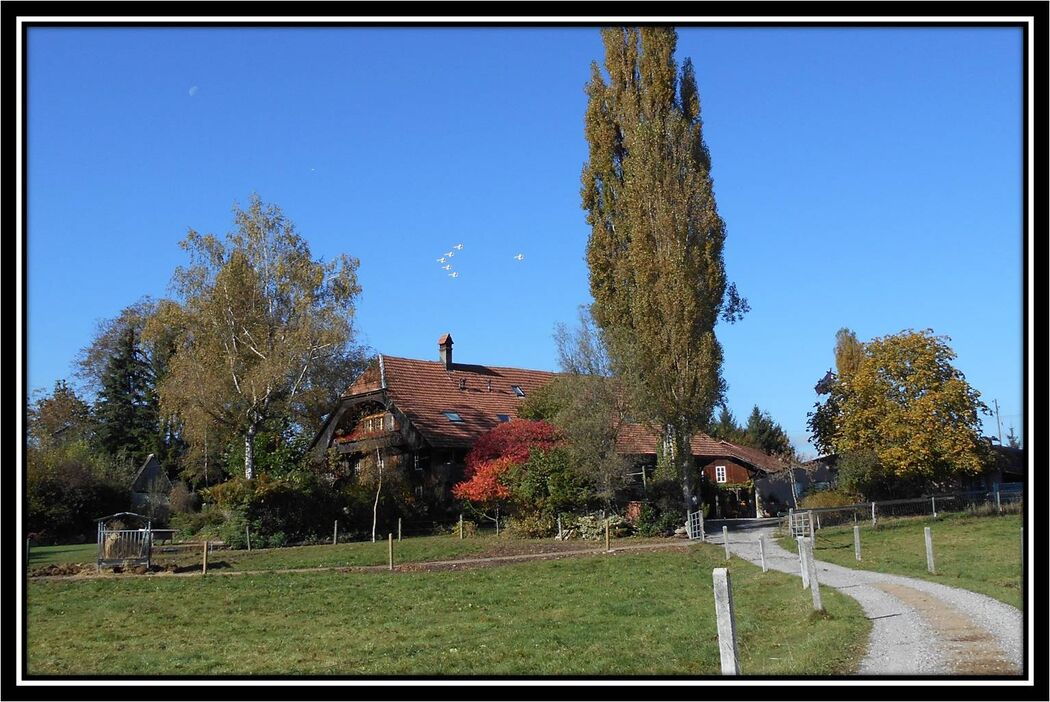 Im Burehus Dinkelbühl