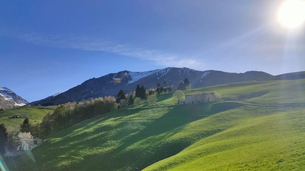 Ristorante Quattro Cime