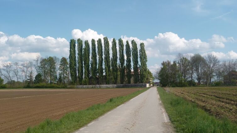 Mulino della Torre