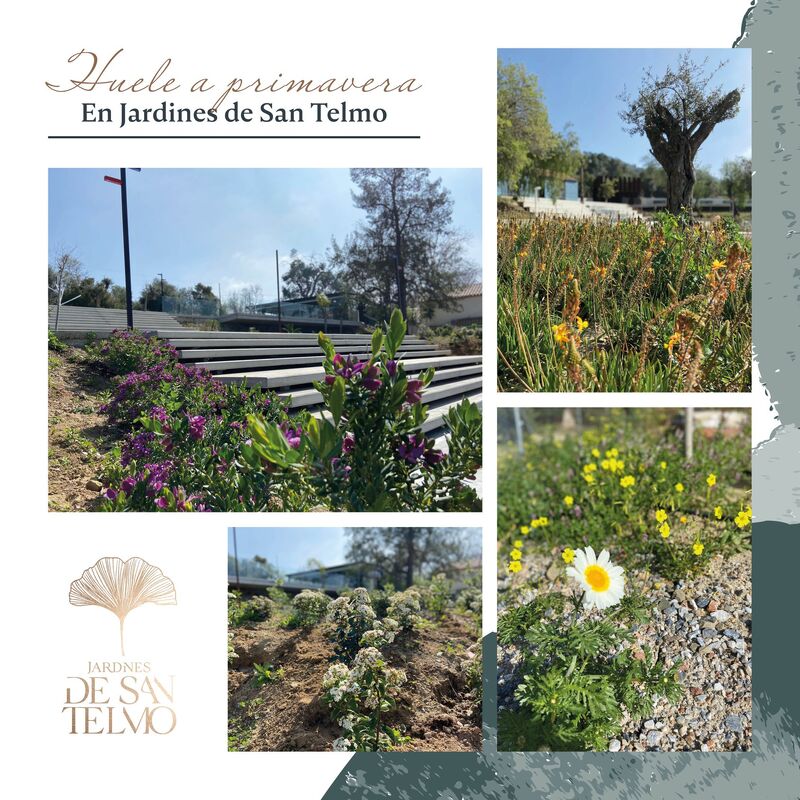 Jardines de San Telmo