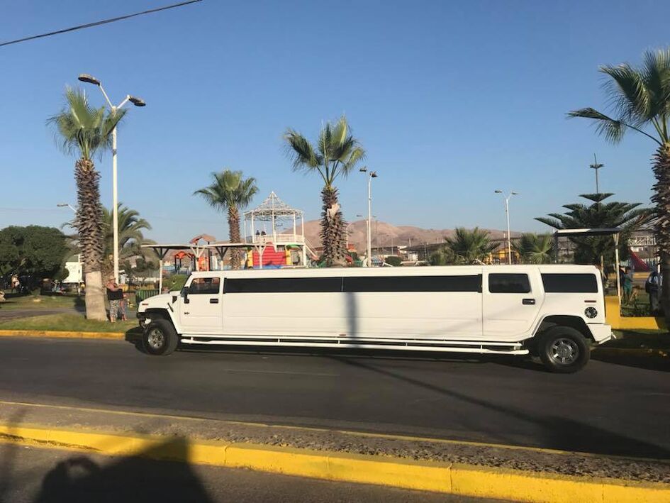 Limo Dais Luxor