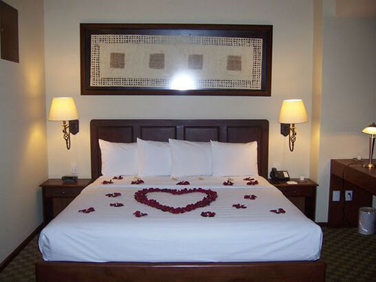 Hotel Holiday Inn & Suites Zona Rosa