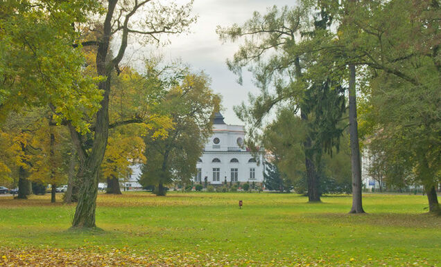 Pałac w Jabłonnie