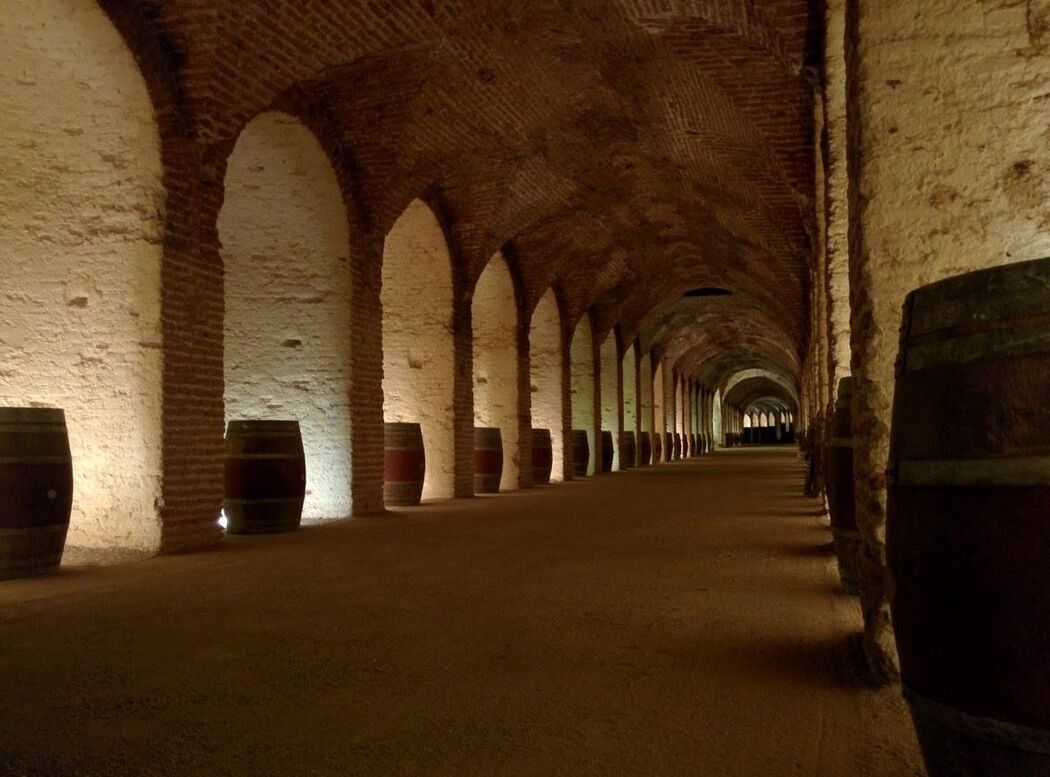 Bodega Real Cortijo de San Isidro