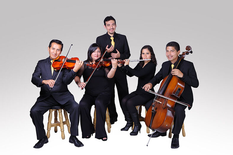 Grupo Mozart Arequipa