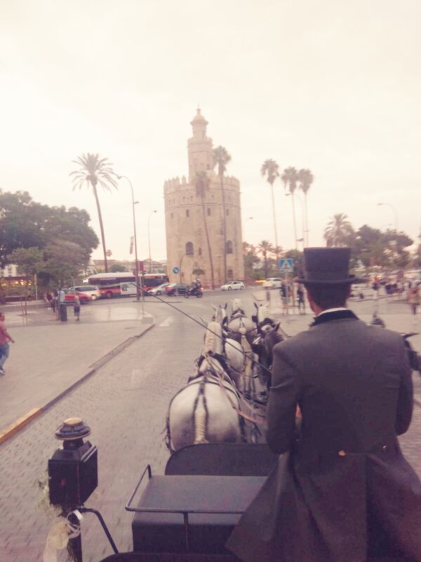 Carruajes Maestranza