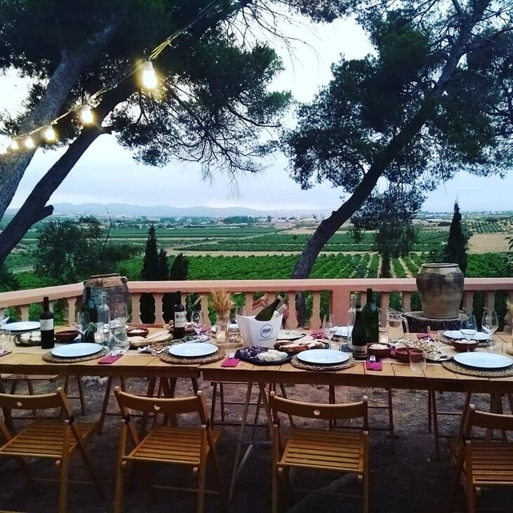 Bodegas Vera de Estenas