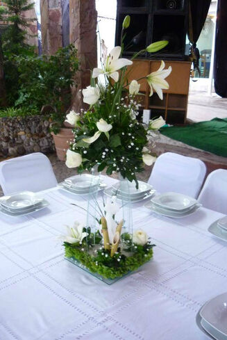 Banquetes y Jardín Edén