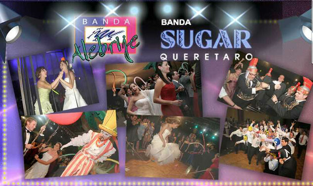 Sugar Alebrije Bandas
