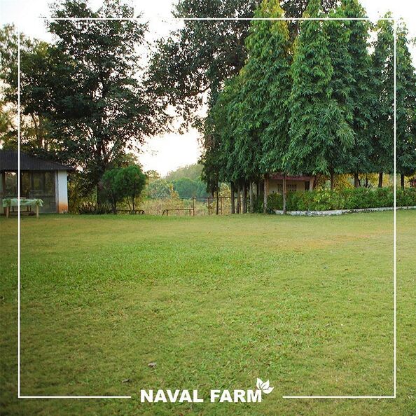 Naval Farm