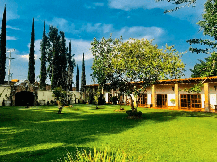 Quinta Masakali