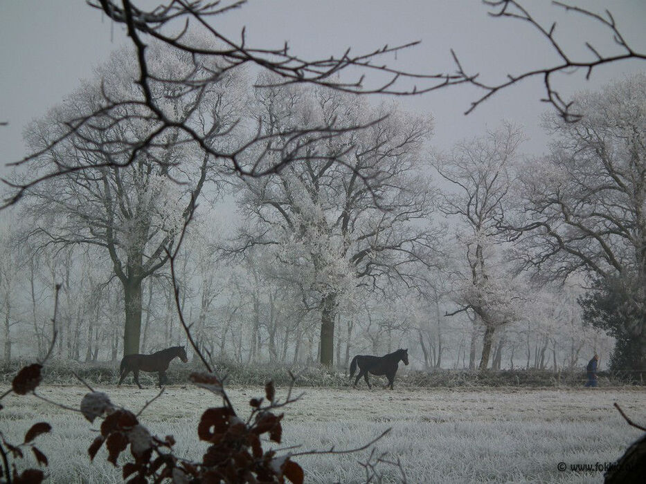 De Hollandsche Manege