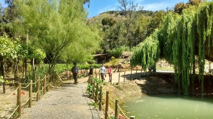 Eco turismo la Serena