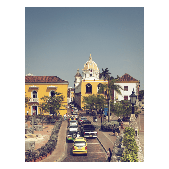 Novios Cocha - Viña del Mar