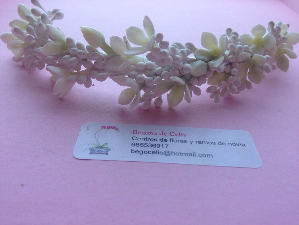 Begonias Flores