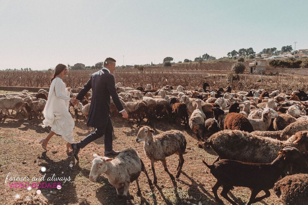 Video-boda.es Momentos que nunca Vuelven